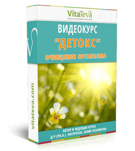 Детокс - очищение организма - Резникова (2016)_0.png